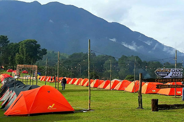 campinggal fuseorganizer (5)